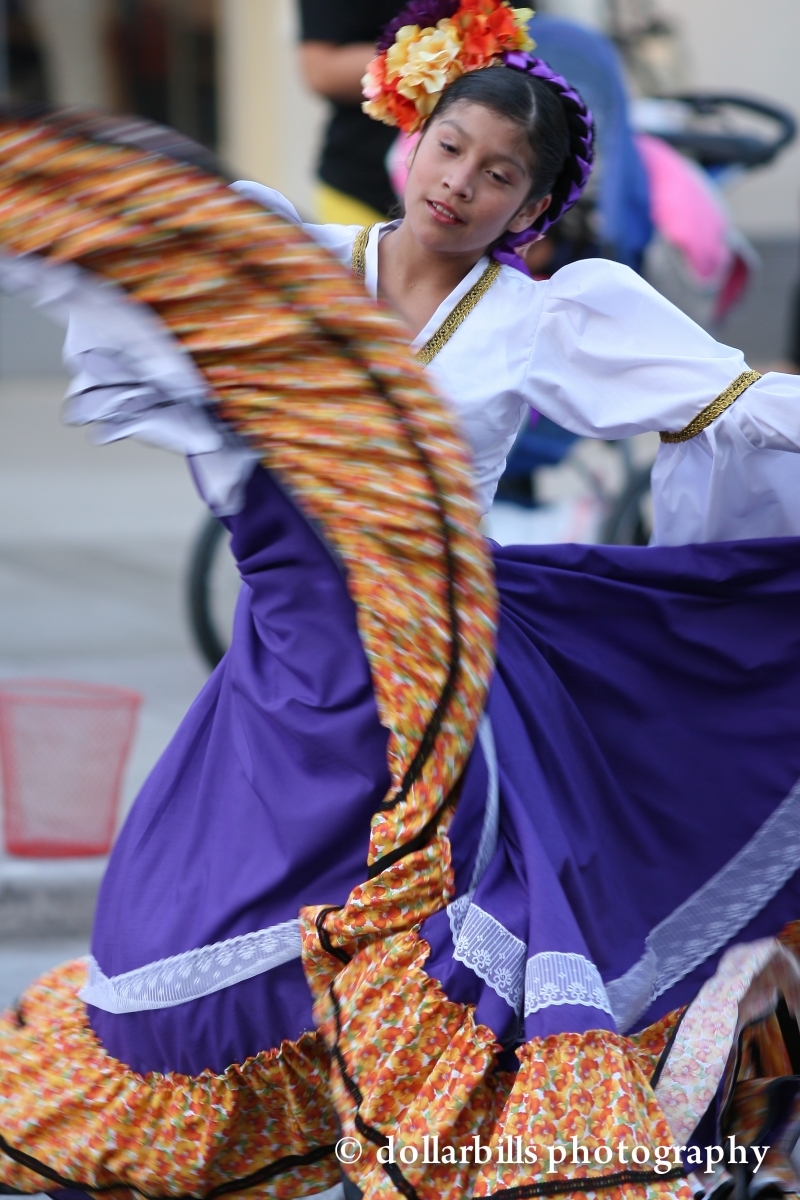 IMG_1533     